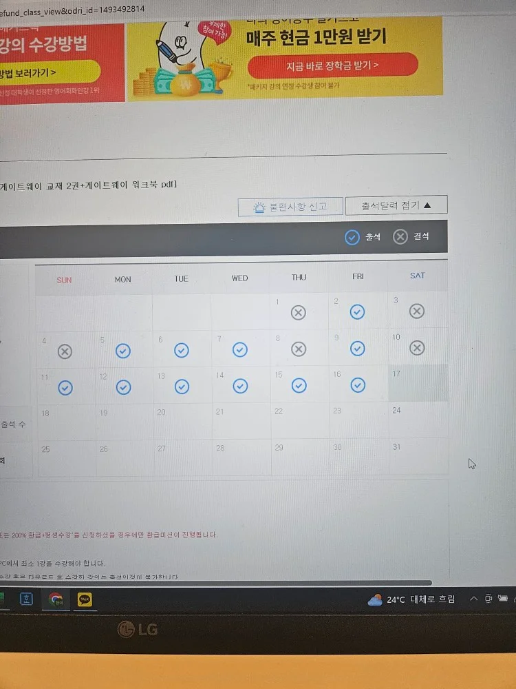 width="100%"