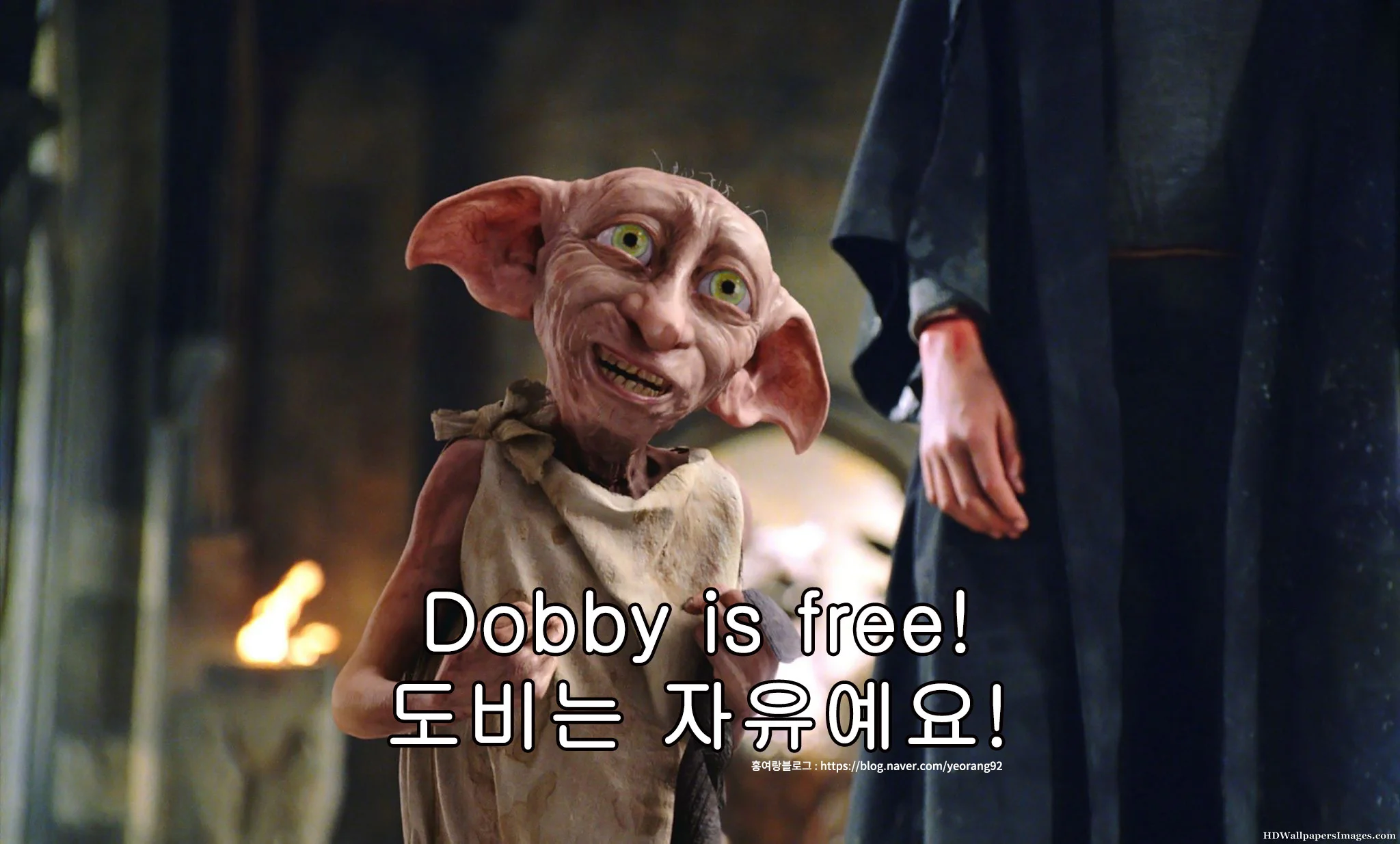 해커스영어 이미지